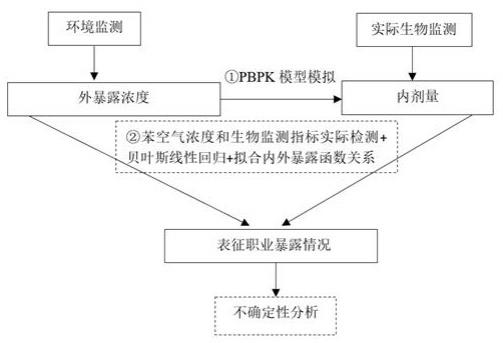 一种低剂量苯职业暴露评估方法及系统与流程