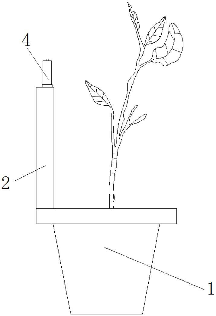 一种具有秧苗绑扎结构的生姜栽培装置的制作方法