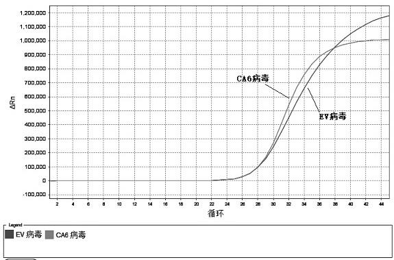 一种四种肠道病毒的核酸检测试剂盒、引物探针组及检测方法与流程