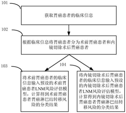 基于机器学习的胃癌淋巴结转移风险评估系统、设备及存储介质的制作方法