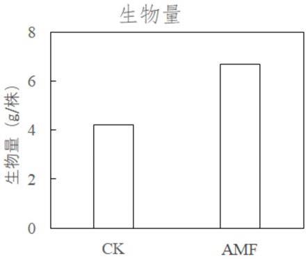 河道底泥生态修复的方法与流程