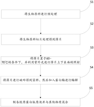 一种含有胶原蛋白肽的多活性食品及其制备方法与流程