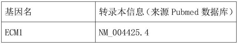 用于预测甲状腺乳头状癌淋巴结转移的特异性基因及制备方法与流程