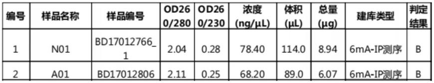 治疗α-地中海贫血的药物和诊断试剂盒的制作方法