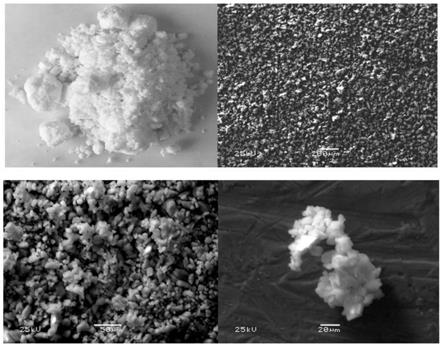 一种回收磷石膏中磷资源副产磷酸铵镁的方法