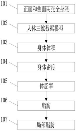 一种通过体态密度法测量人体成分的方法及其装置与流程