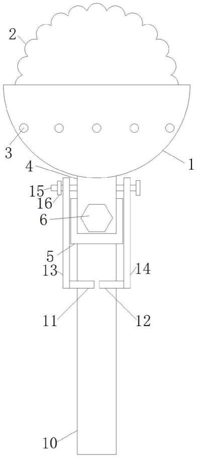 一种柑橘果实涂白工具