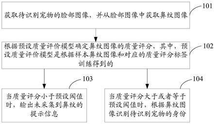 识别宠物身份的方法、装置、存储介质及电子设备与流程