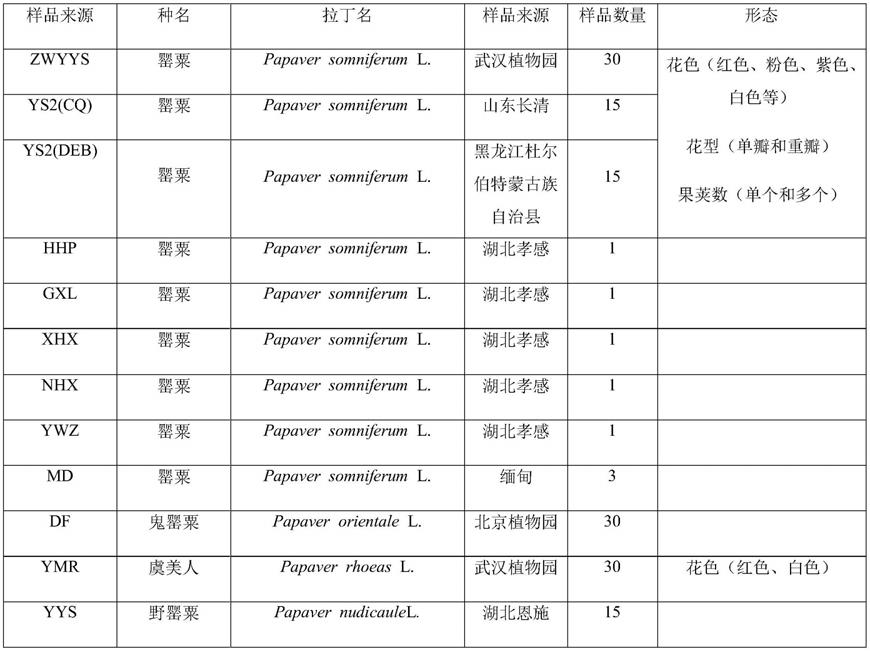 鉴定罂粟的SNP分子标记及应用的制作方法