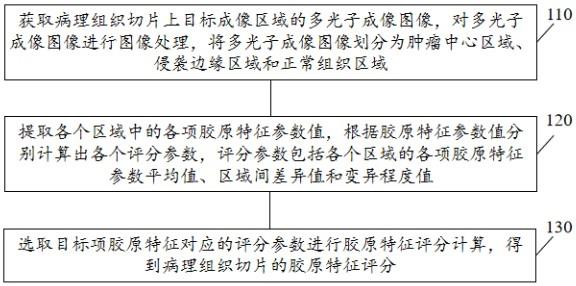 一种结直肠癌胶原评价和预后预测装置和存储介质