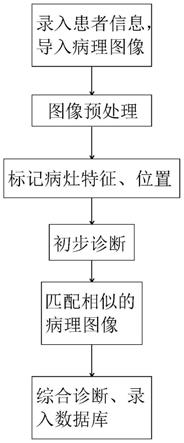 一种用于医学病理图像诊断方法与流程