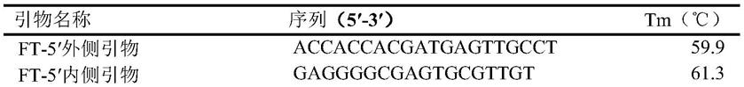 蜻蜓凤梨AfFT2基因、克隆方法、表达载体及应用