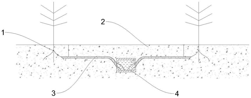 一种植物种植的毛细灌溉方法与流程