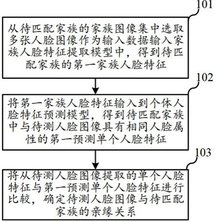 亲缘关系判定方法、装置、电子设备及存储介质与流程