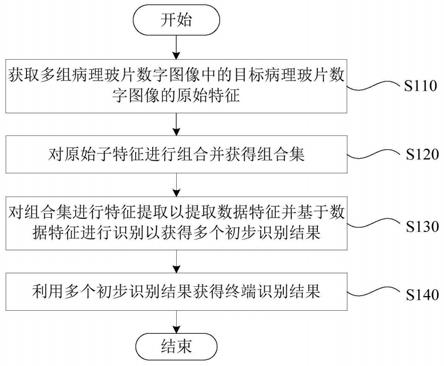 宫颈细胞玻片数字图像的识别模型的模型成长方法与流程