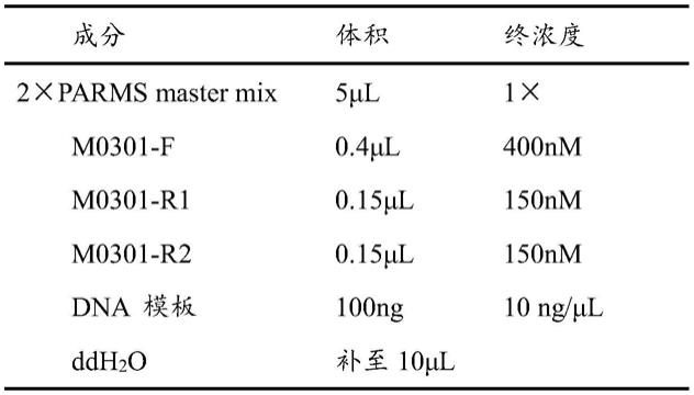 鉴定丝瓜种皮颜色的SNP分子标记、KASP引物及其应用