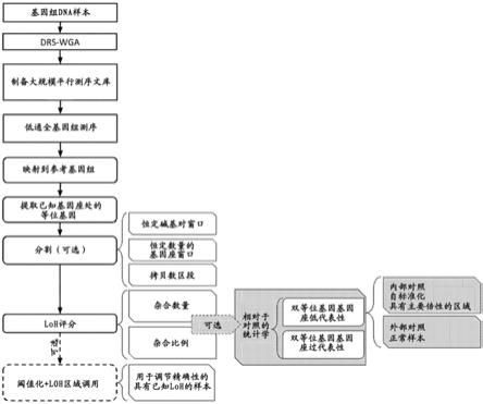 在确定性限制性位点全基因组扩增(DRS-WGA)之后分析杂合性缺失(LoH)的方法与流程