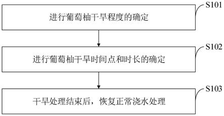 一种促进葡萄柚花芽分化提前和花枝增多的调控方法与流程