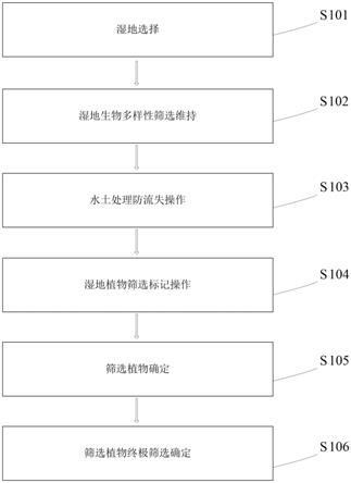 一种能够维持人工湿地生物多样性的湿地植物筛选方法