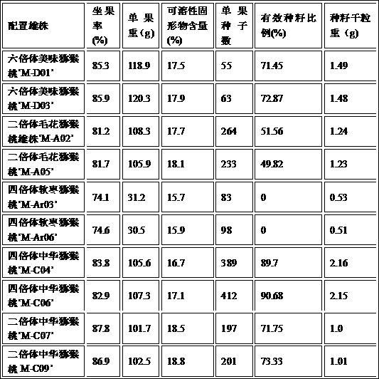 一种四倍体中华猕猴桃种籽软化、少化的花粉配置技术