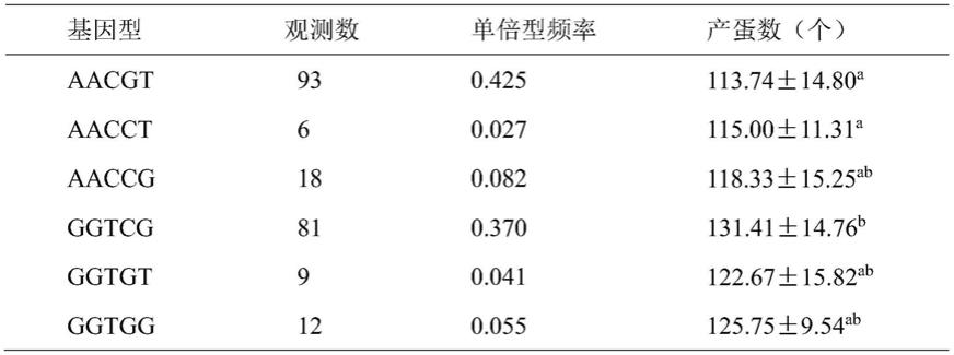 一种与蛋鸭繁殖性能相关的单倍型分子标记及其应用的制作方法