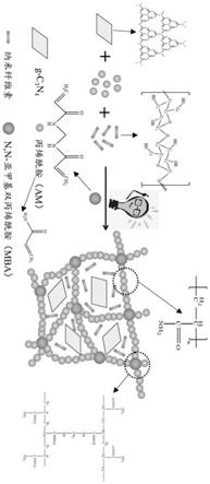纳米纤维素/g-C3N4/聚丙烯酰胺复合水凝胶及其制备方法和应用