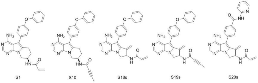 固体形式的布鲁顿酪氨酸激酶抑制剂化合物及其用途