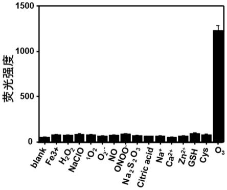 一种臭氧荧光探针及其制备方法和应用