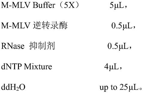 一种烟草NtCNGC4基因在制备调控株高和叶片氨基酸含量的烟草突变体材料中的应用的制作方法