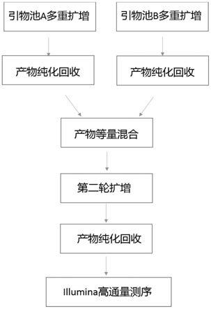 一种线粒体全基因组测序的引物集及高通量测序的方法与流程