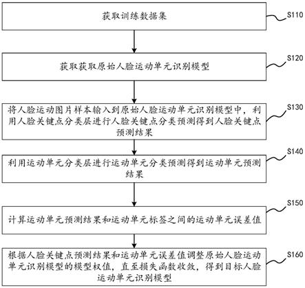 模型训练方法和装置、运动单元识别方法、设备、介质与流程