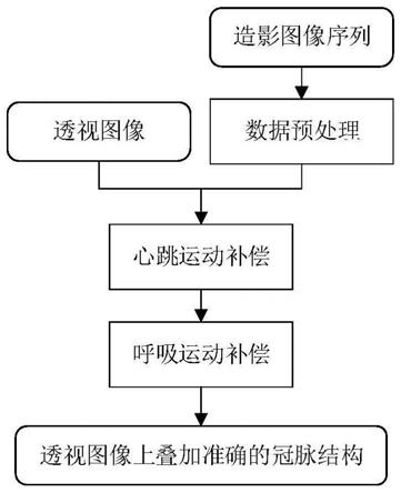 X射线图像中的冠脉运动补偿方法和系统