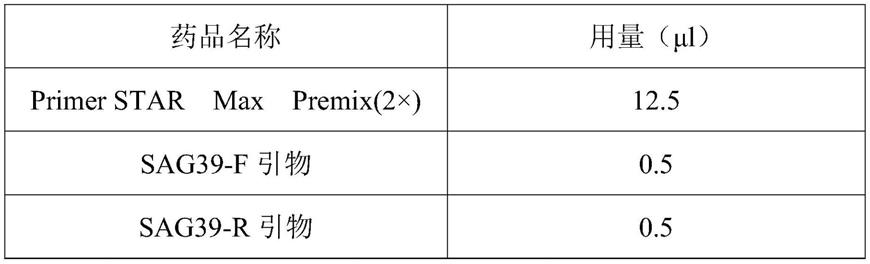 一种调控叶片衰老基因ZmSAG39、编码蛋白及其应用