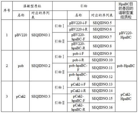 一种生产3,4-二羟基苯乙醇的温敏型重组菌株及应用的制作方法