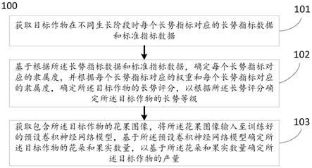 一种目标作物的长势和产量分析方法及系统与流程