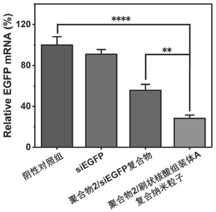 一种刷状核酸组装体和复合纳米粒子及其应用的制作方法