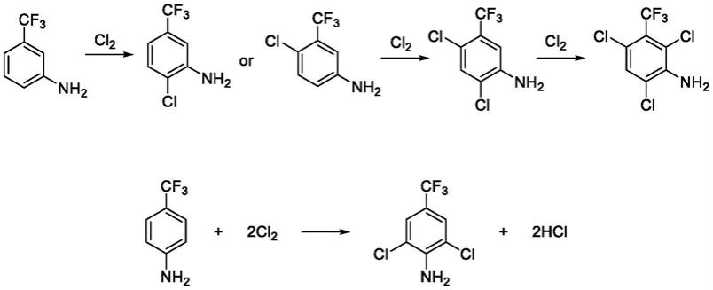 一种制备2,6-二氯-4-三氟甲基苯胺的方法与流程