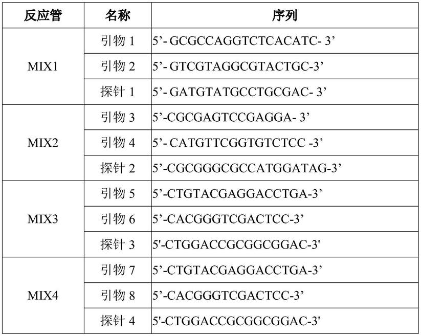 一种用于检测HLA-B*5101等位基因的引物组及试剂盒的制作方法