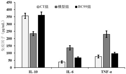 凝结芽孢杆菌BC99在制备缓解结肠炎制品或免疫调节制品方面的用途的制作方法