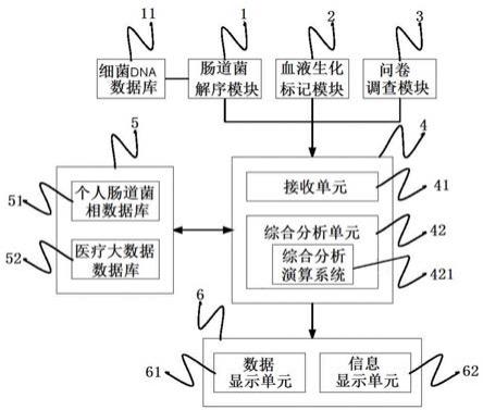 个人化精准肠道微生态调节剂配对装置的制作方法