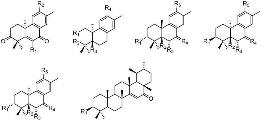 萜类化合物及其制备方法和应用
