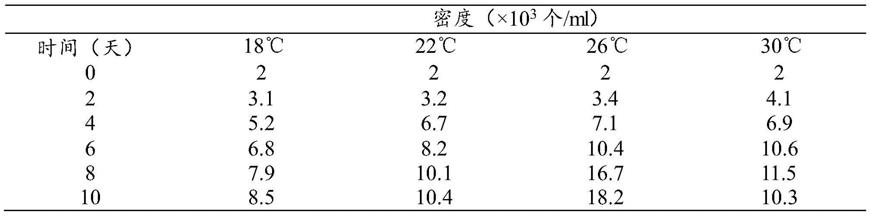 造礁石珊瑚共生虫黄藻藻种及其分离纯化方法、培养方法