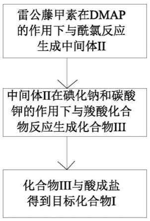 一类雷公藤甲素前药、其制备方法及其医药用途