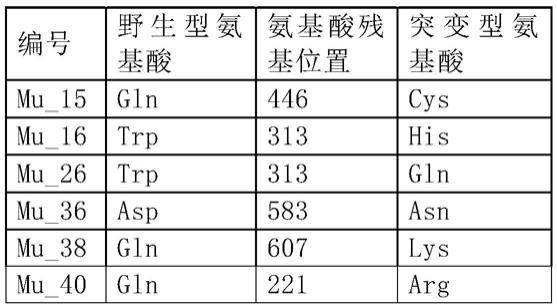 用于核酸检测的逆转录酶突变体的制作方法