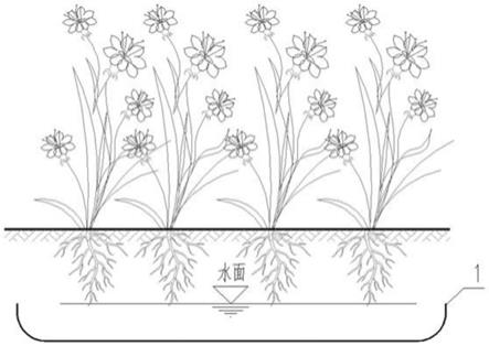 保水生态结构的制作方法