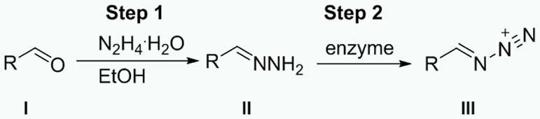 一种三氮菌素或其类似物中脂肪链三氮烯的合成方法