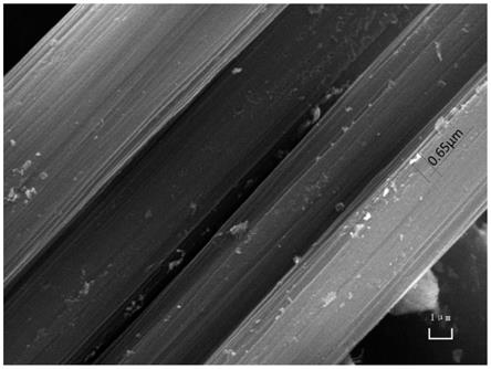 碳纤维微观图片
