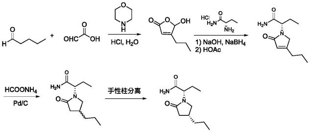 一种baeyervilliger单加氧酶及其在布立西坦合成中的应用