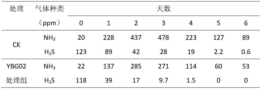 一株用于污泥堆肥除臭的巨大芽孢杆菌及其应用的制作方法