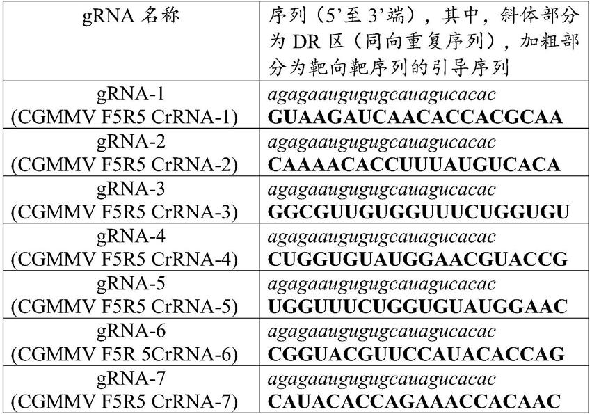 一种基于CRISPR技术检测黄瓜绿斑驳花叶病毒的方法与流程